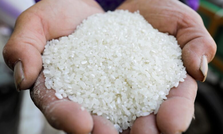 الهند تفرض ضريبة 20% على صادرات الأرز | أخبار الخليج اليومية