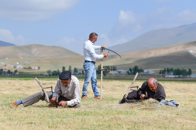 VAN, TURKIYE - JULY 2: Farmers work as they cut grass with scythes, a hand tool that has been widely used in the Eastern Anatolia region for centuries in Van, Turkiye on July 2, 2024. The villagers wake up with the first light of the day and set off for their fields to meet the winter grass needs of their animals. (Photo by Ali Ihsan Ozturk/Anadolu via Getty Images)