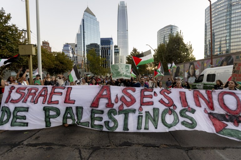 Pro-Palestinian demonstration in Santiago