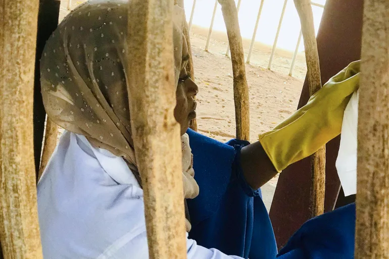 Rachidatou Hassane, an intern at Niamey museum, cleans fossil replicas on display [Courtesy of Rachidatou Hassane]