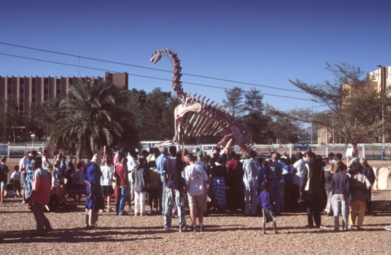 The original jobaria on public display in Niamey after it was first excavated by Paul Sereno and his team on December 4, 2000. Some of the original fossils Sereno discovered are kept at the Niamey museum, while many others are housed in his lab in Chicago [File: Didier Dutheil/Sygma via Getty Images]