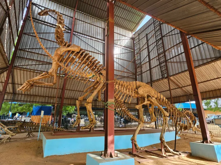 The Bobou Hama National Museum displays fossil replicas of extinct animals, including that of jobaria, a long-necked herbivorous dinosaur [Shola Lawal/Al Jazeera]