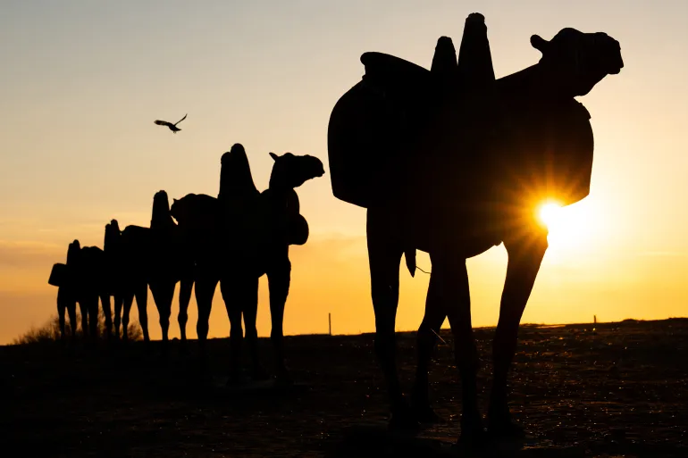 TURKISTAN, KAZAKHSTAN: A bird flies over a sunset silhouette of a Silk Road camel caravan sculpture near the Mausoleum of Khoja Ahmed Yasawi at the UNSESCO World Heritage Azret Sultan Museum-Reserve. ; Shutterstock ID 2663348823; purchase_order: aj; job: ; client: ; other: