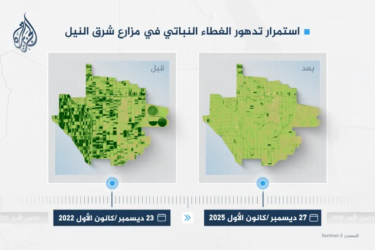 صورة توضح استمرار تدهور الغطاء النباتي في مزارع شرق النيل مقارنة بـ 23 ديسمبر/كانون الأول عام 2022 قبل الحرب - التاريخ: 27-12-2025 - المصدر: Sentinel-2
