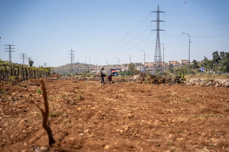 فلسطين - الخليل-الاحتلال يتلف كرم عنب - أبريل 2026